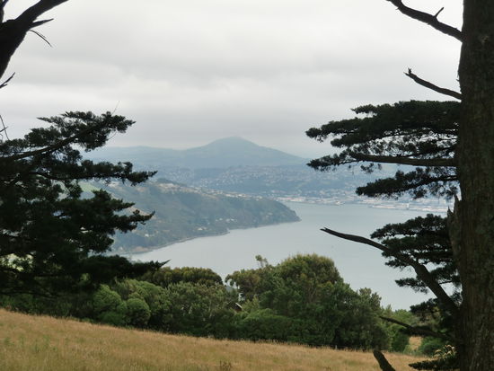 Blick vom Castle auf der Halbinsel Otago an der Westkueste Neuseelands bei Dunedin.