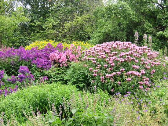 Im botanischen Garten sind viele sehr schoene alte Baeume und Herbst- und Sommerblumen bluehen lustig nebeneinander.