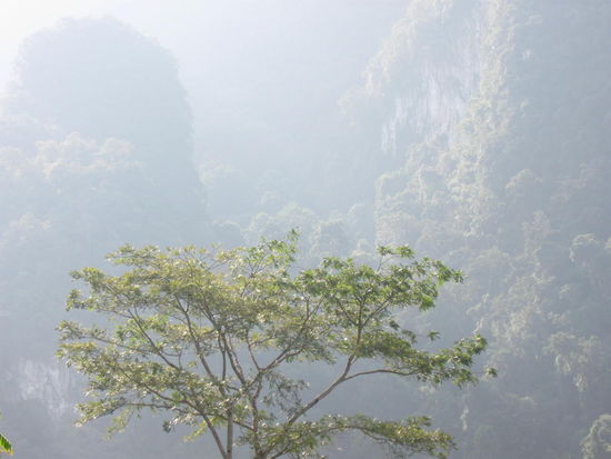 Meine letzte Wanderung im Hinterland von Tha Lane