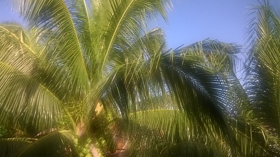 Der Blick von der Frühstücksterrasse