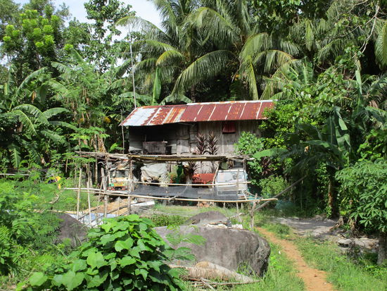 Eine von vielen Behausungen - Bretterverschlag mit Wellblech-Dach
Wie es nach einem Taifun aussieht, kann sich jeder denken; und leider ziehen jedes Jahr sehr viele Taifune über die Philippinen hinweg