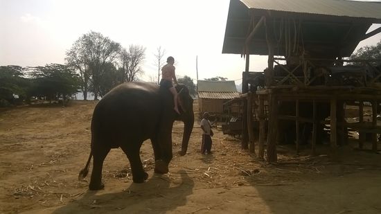 Steffi aufm Elefanten