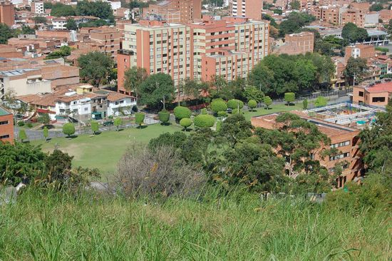 Jeder Baum hat einen anderen tollen Schnitt...