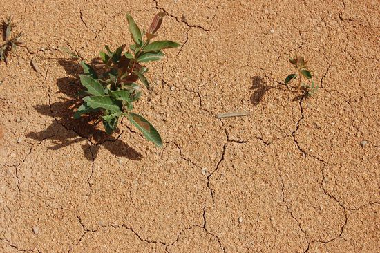 Ziemlich trocken da oben...