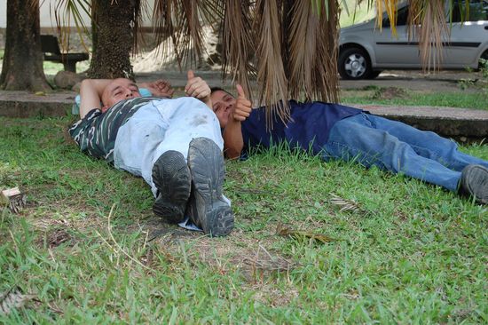 Oscar und sein Kollege halten Siesta im Schatten