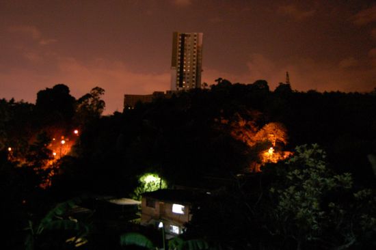 Dschungelwolkenkratzer