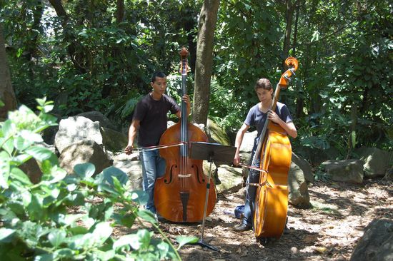 Zwei Kontrabässe allein im Wald...