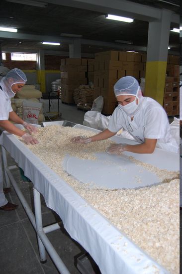 Die guten ins Töpfchen, die schlechten ins Tröpfchen