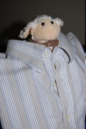 Weiß nicht, ob dus noch weißt, aber das Hemd hast du mir mal beim Mr. Sahm mitgebracht.  Mica fühlt sich sichtlich wohl!
Danke lieber Papa!