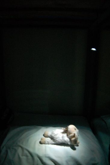 Was ist denn hier los? Mica genießt die künstliche Sonne...