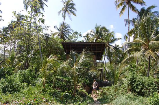 Wilde Karibikkulisse