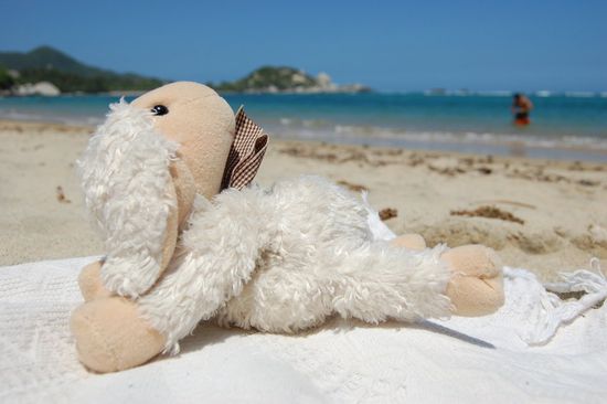 ...um endlich am Badestrand anzukommen.
Mica genießt die Karibiksonne...