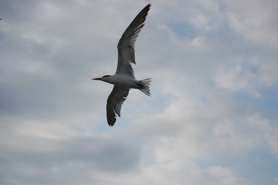 Stefan´s genialer Schnappschuss