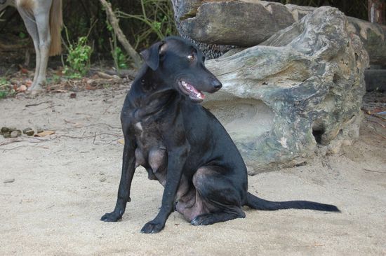 Wo sind meine Kinder? ...