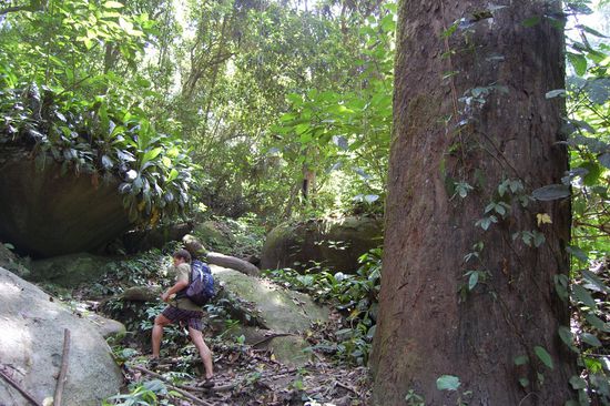 So ging der Pfad circa immer den Berg hoch...