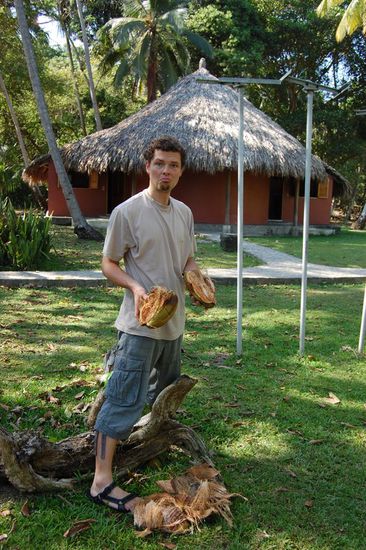 Super, dass Stefan auf den Seychellen Kokosnussknacken gelernt hat! In dieser war aber leider nichts drinnen...