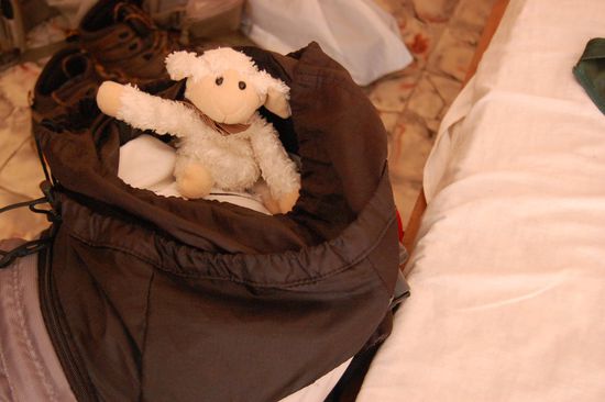 Oh nein! Nicht schon wieder Abtauchen in den engen, dunklen, heißen, stickigen, schwitzigen Rucksack... 