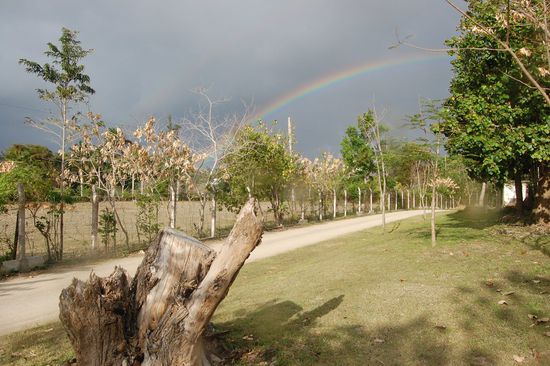 Aussicht aus unserem Zimmer hinters Hotel