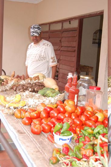 Ein Gemüseverkäufer. Am Dach dieses Hauses...