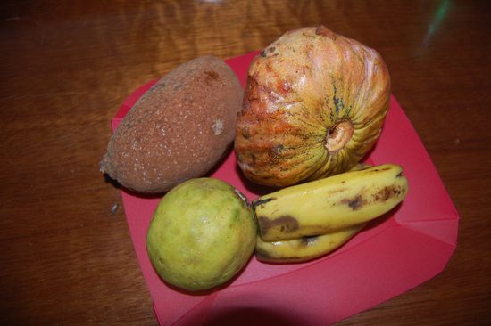 Verschiedene exotische Früchte, alles Geschenke. Rechts hinten die hieß Mamon - war ganz wässrig und grausig, schmeckt auch nur den wenigsten Kubanern. Bananen kennt eh jeder und die beiden links muss ich Mimi nochmal fragen, ob sie sich an die Namen erinnert...