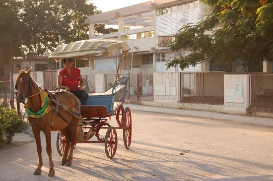 Traditionelle Art der Fortbewegung, hier noch recht oft benutzt.