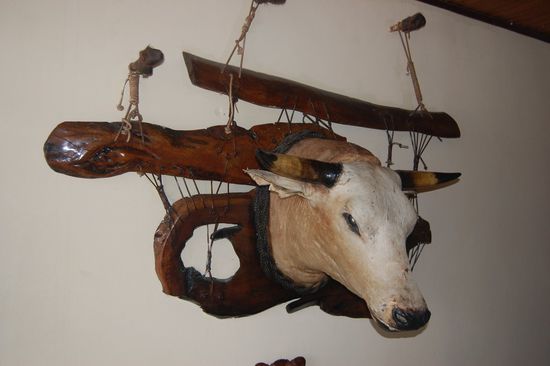 Dort sahen wir, was kaum zu glauben war: Eine tote Kuh hing gleich am Eingang an der Wand! Die muss wohl schon sehr alt sein 