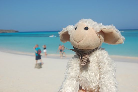 "Auch denkt der kleine Mica, la playa es muy rica!" 