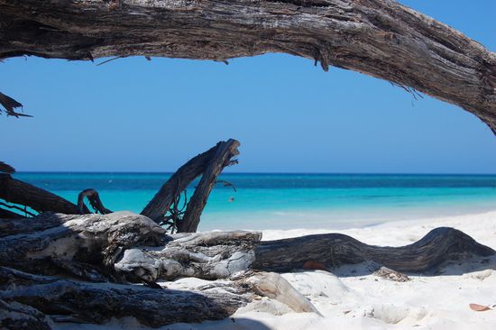 Und noch eine Impression am Ende...