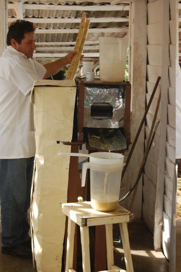 Hier wird Zuckerrohrsaft gepresst, der war richtig lecker und richtig billig: 2 Pesos National - das sind weniger als 10 Cent 