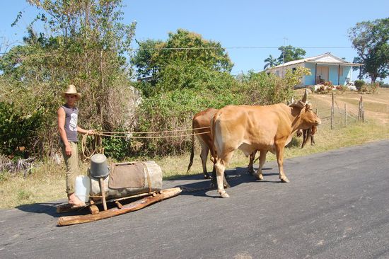 Traditionelle Art des Wassertransports