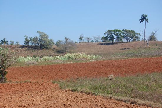 Typische rötliche Erde für dieses Gebiet