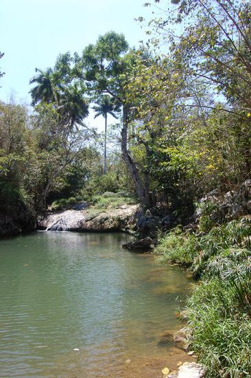 Unsere Lagune - wir hatten aber ein bisschen Angst vor den wilden Tieren hier...