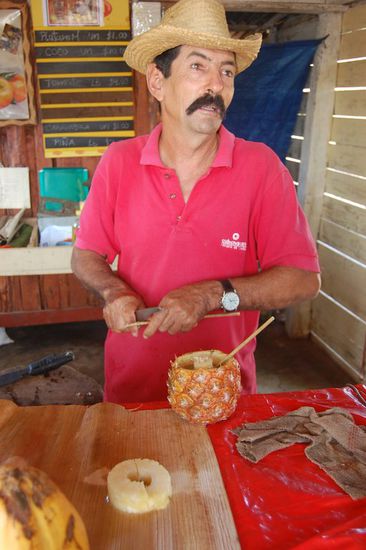 Nach einigen Stunden Fahrt in der prallen Sonne waren wir froh, dieses Standl mit frischen Früchten gefunden zu haben.