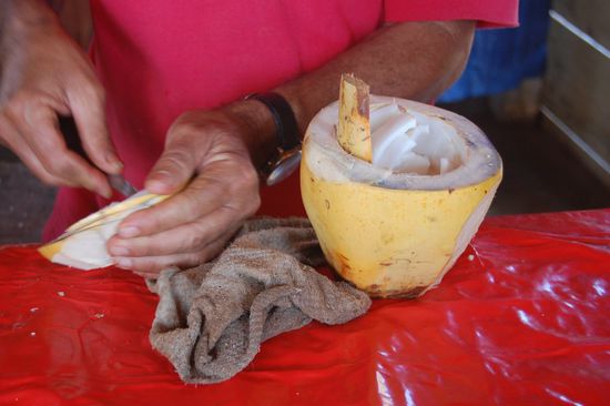 Danach noch Kokosnusssaft und natürlich konnten wir das ganze Fruchtfleisch auch essen! So lecker! 