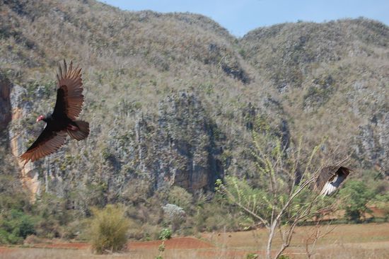 Mimis genialer Schnappschuss!