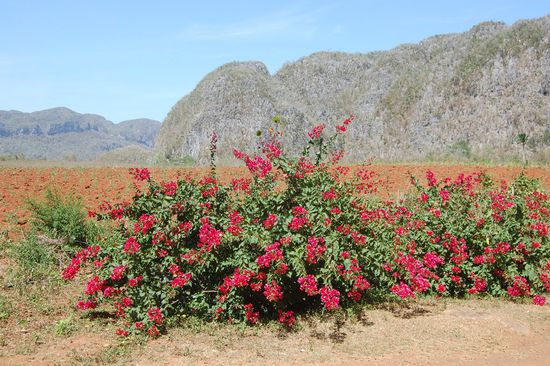 Irgendwo mitten in der Pampa. Per Autostopp kamen wir hier günstig weiter, mit ein paar Franzosen, die ihren Weg verloren hatten und komplett verloren waren. Wir konnten ihnen dann weiterhelfen 