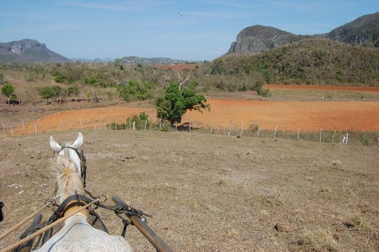 Mit seiner Pferdekutsche gings dann durch Felder über Stock und Stein...