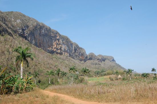 Menschenleere Landschaften und wirkliche Ruhe! 