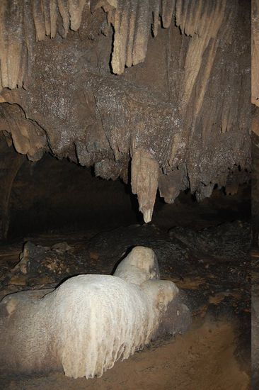 ...und hinein in völlig bizarre neue Welten. 