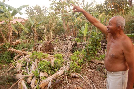 Hier zeigt uns Mario mit welcher Wucht der letzte Hurrican auch durch seinen Garten gezogen ist, und ganze Bäume entwurzelt hat.