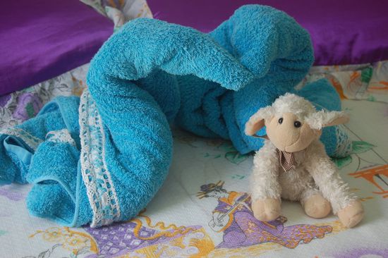 Mica kann das bestätigen! 