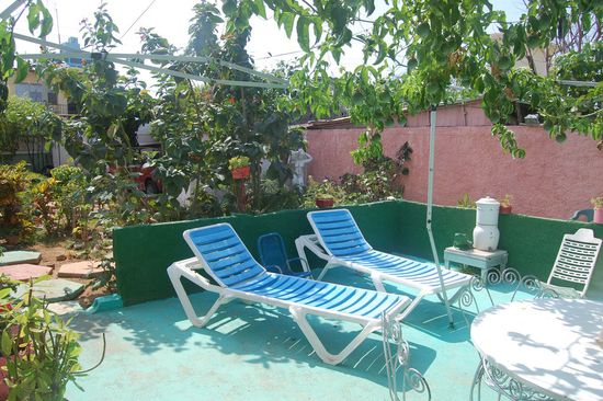 Unter den grünen Pflanzendächern wurde es im Garten auch gar nicht so heiß.