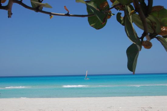 Und jeder hatte bisher etwas Einzigartiges!