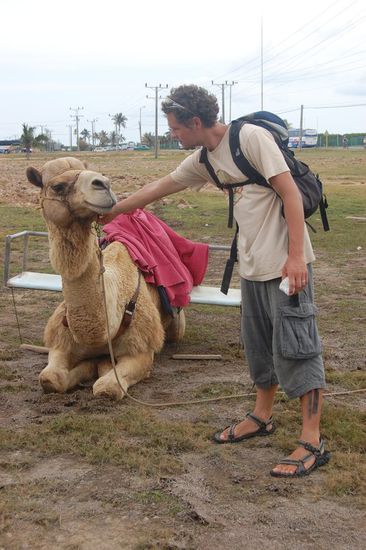Draußen aus dem Naturpark trafen wir vor dem Delfinarium einen anderen Kollegen, der sich gerne das Kinn kraulen ließ. 