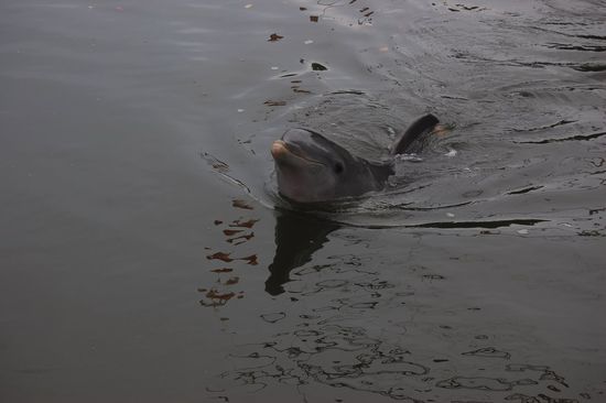 Jetzt kommt bald unsere Show! 