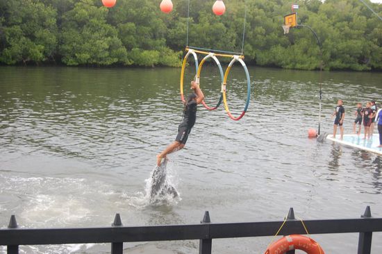 Jetzt schmeißen wir mal...