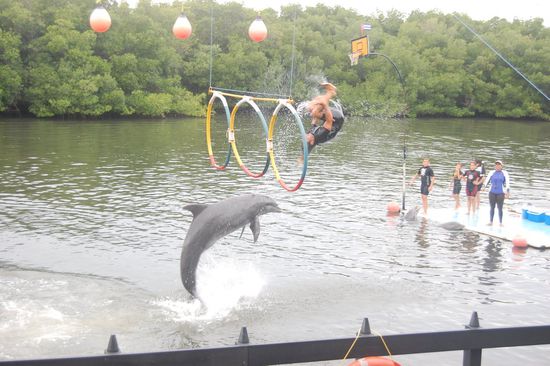 ...unseren Trainer durch den Ring!