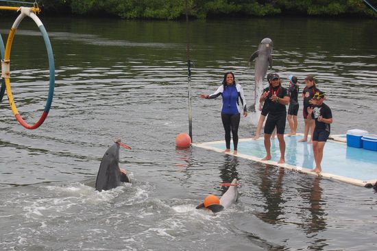 Hallo, hier hinten bin ich! Ich will auch mitspielen!