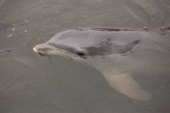 Jetzt kommt bald die Mimi zu uns, ich witter das! 