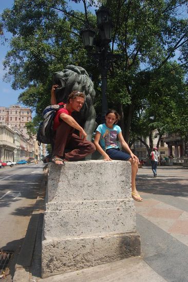 Löwen gibts auch - zum Glück sind die zahm!